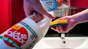 فروش ارزان مایع سفید کننده تندیس