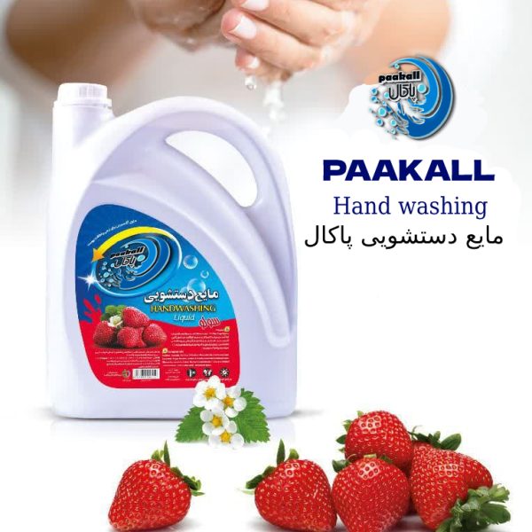 مایع دستشویی پاکال